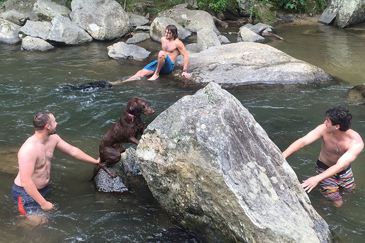men and dogs climbing on rocks in water
